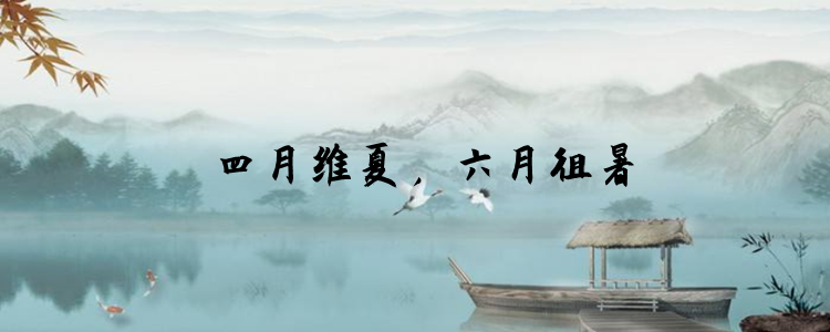 四月维夏,六月徂暑什么意思