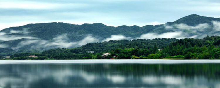 青山远黛