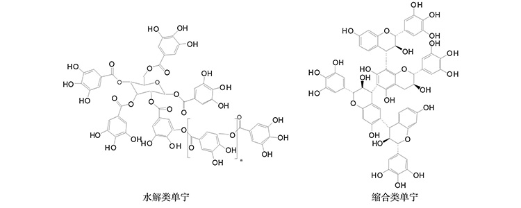 单宁是什么意思