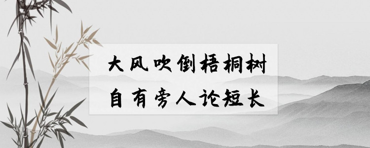 大风吹倒梧桐树自有旁人论短长是什么意思