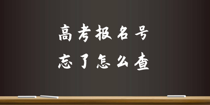 高考报名号忘了怎么查