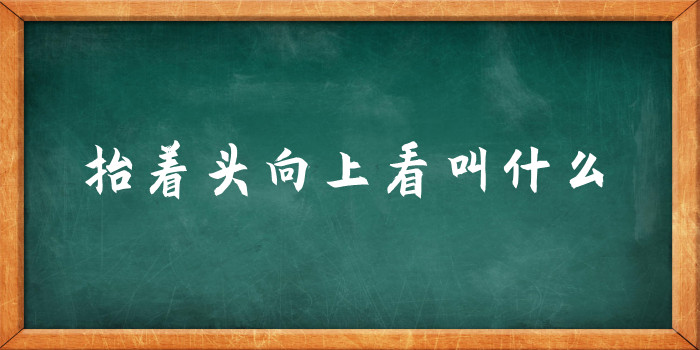 抬着头向上看叫什么