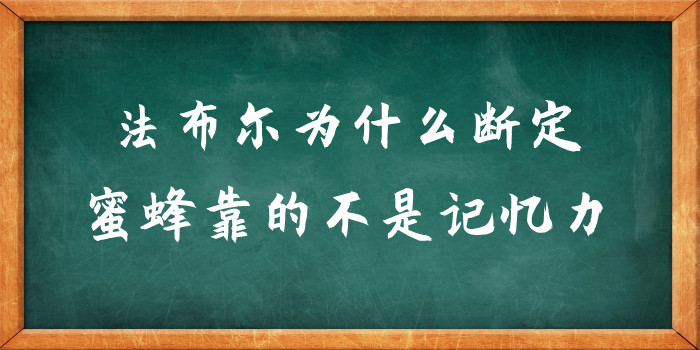 想想法布尔为什么断定蜜蜂靠的不是记忆力