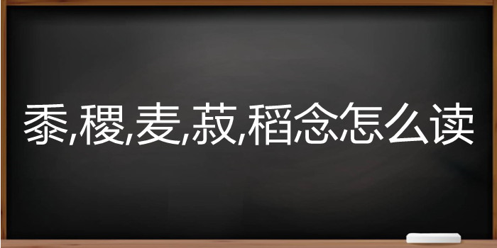 黍,稷,麦,菽,稻念怎么读