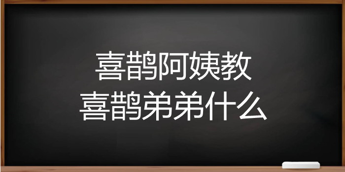 喜鹊阿姨教喜鹊弟弟什么