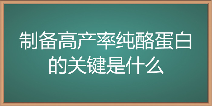 制备高产率纯酪蛋白的关键是什么