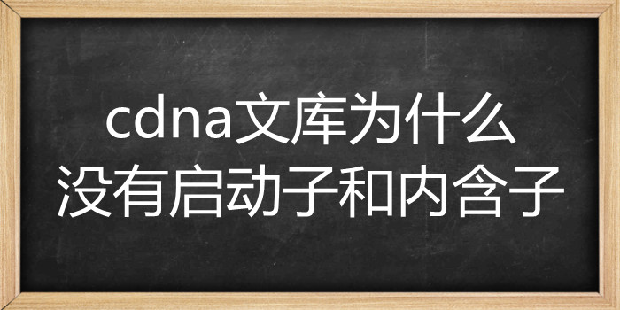 cdna文库为什么没有启动子和内含子