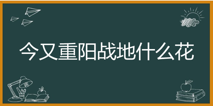 今又重阳战地什么花