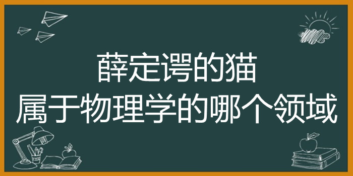 薛定谔的猫属于物理学的哪个领域