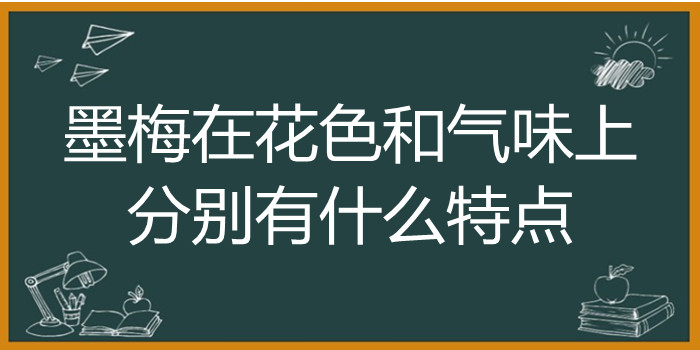 墨梅在花色和气味上分别有什么特点