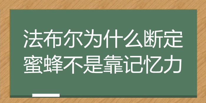 法布尔为什么断定蜜蜂不是靠记忆力