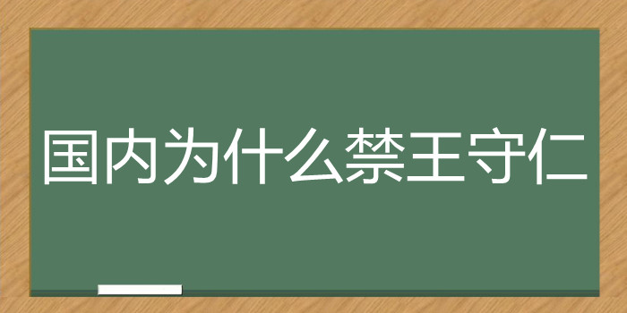 国内为什么禁王守仁