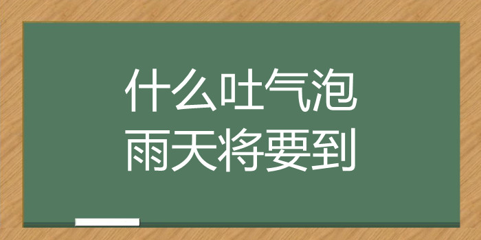 什么吐气泡雨天将要到