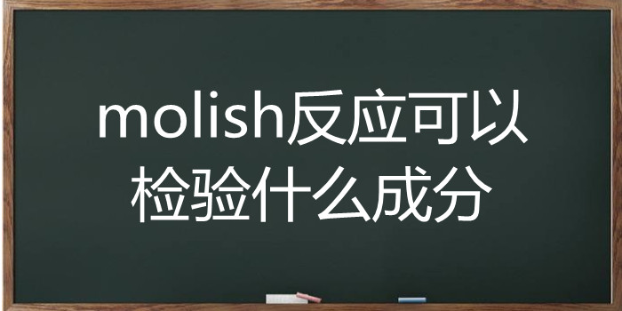 molish反应可以检验什么成分