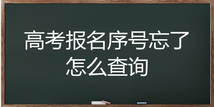 高考报名序号忘了怎么查询