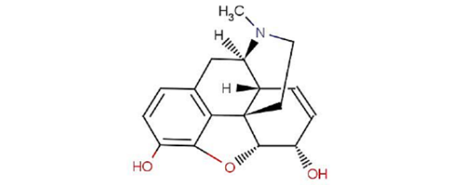 醇可以使高锰酸钾褪色吗