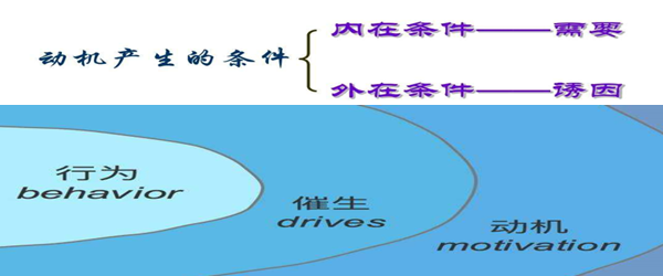 动机产生的内在条件是什么