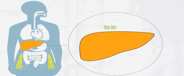 一克脂肪在体内氧化时平均产生多少的能量