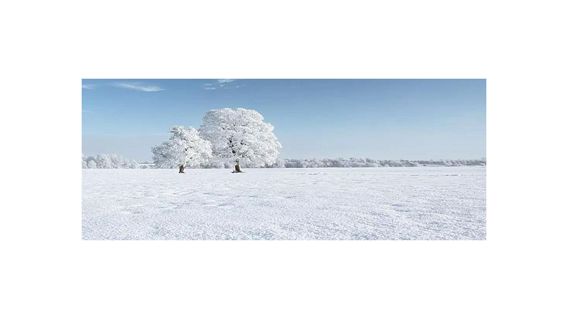 雪的替代词