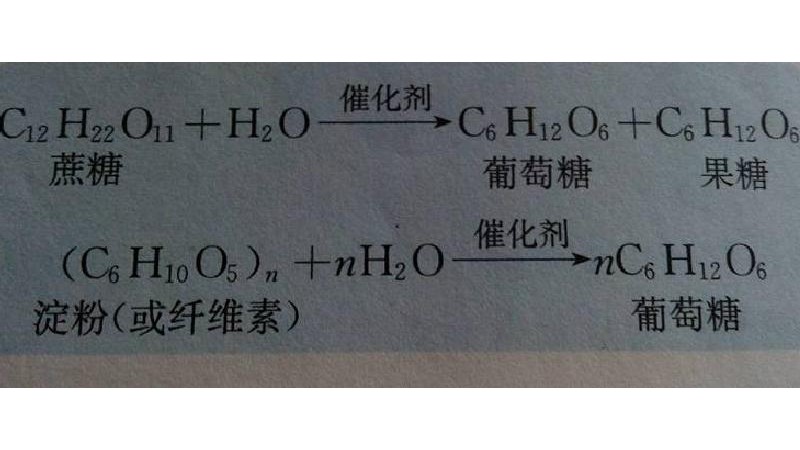 蔗糖水解反应方程式