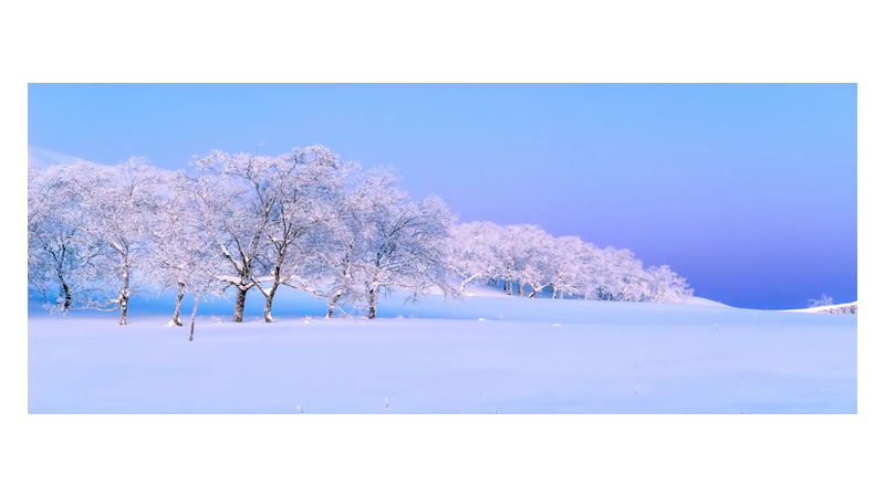 沁园春雪全诗意思