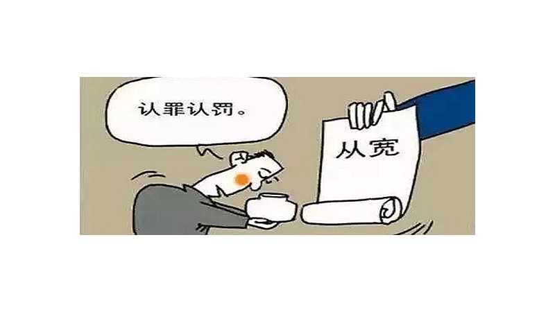 坦白从宽抗拒从严什么意思