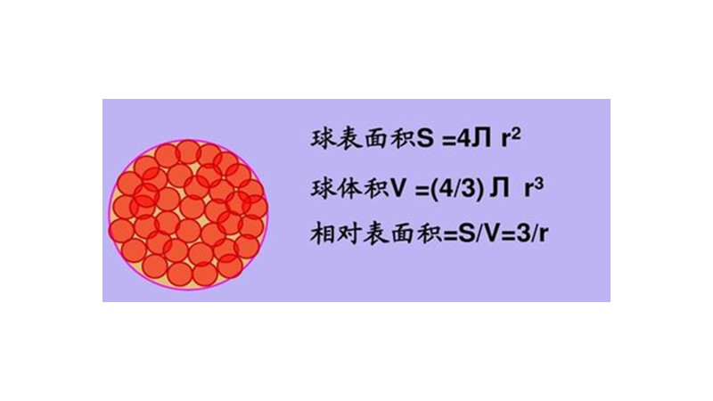 球表面积公式和体积公式