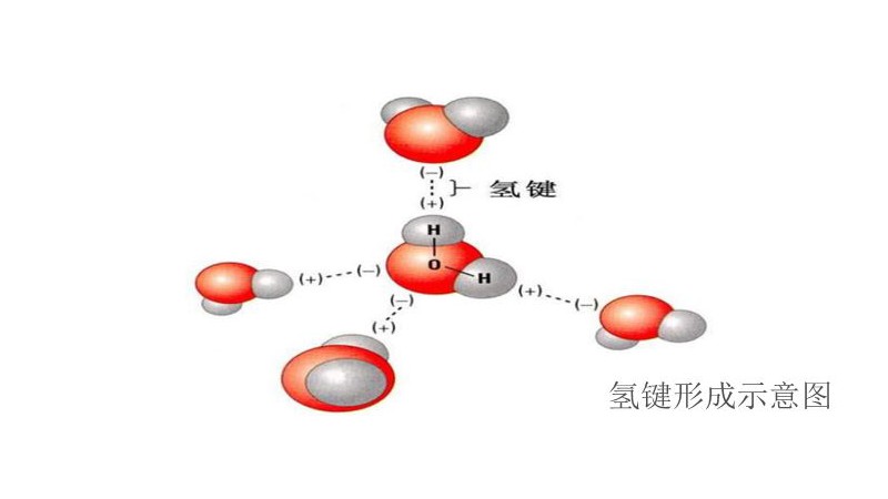 氢键的形成条件