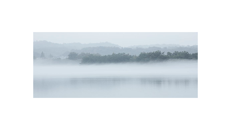 山色空蒙雨亦奇全诗解