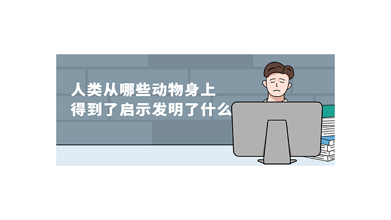 人类从哪些动物身上得到了启示发明了什么