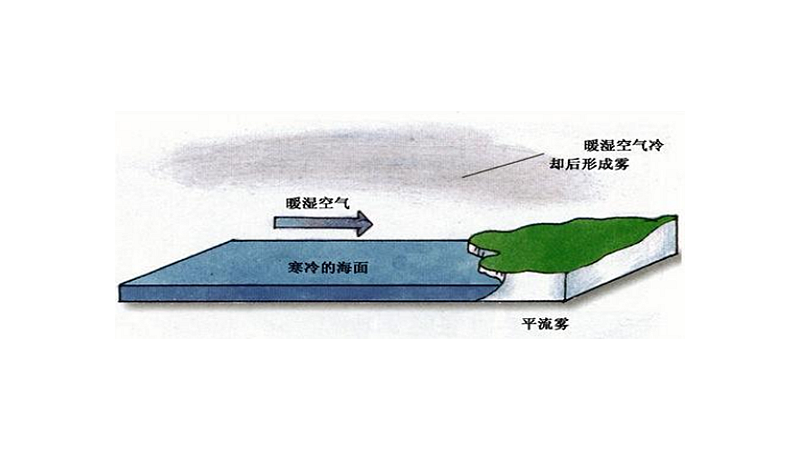 雾是怎么形成的二年级