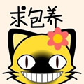 魂守猫咪QQ微信头像 可爱自定义QQ微信头像