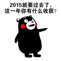 趣味熊本熊表情包 谈谈这一年你有什么收获