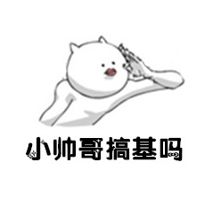 stylish cat系列表情 恶搞聊天表情包带字