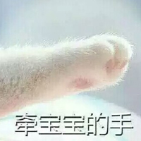 比较可爱的猫爪牵手表情包全套 签宝宝的手