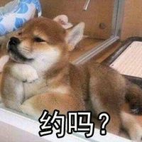 魔性doge聊起表情包最新版 你这个磨人的小妖精