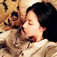 带猫的森系网名女生吸引人的 猫忘了鱼尾纱