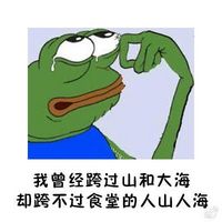 sad frog绿色青蛙恶搞聊天表情 用一句话来形容学校食堂