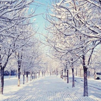 北京遇上了初雪唯美图片大全 北京下雪后的风景