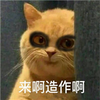 黑眼圈猫咪表情可爱带字 超萌的黑眼圈猫咪表情包