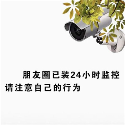 抖音朋友圈已装监控表情包大全 朋友圈已装监控请注意自己的行为