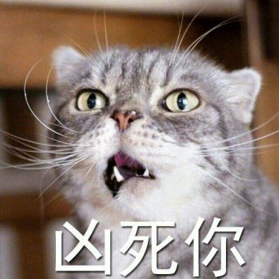 可爱霸气动物头像有脾气的猫咪 超凶但很好玩的猫咪头像带字