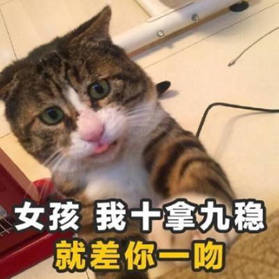 土味情话猫咪表情包带字 女孩我十拿九稳就差你一吻