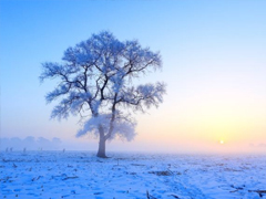 下雪天微信朋友圈说说心情短语 简单一句话下雪了说说最新