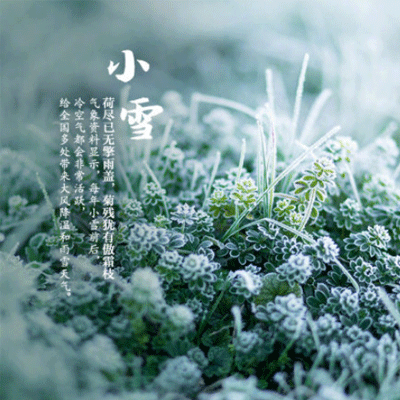 小雪节气风景图片大全带字 2022小雪节气朋友圈配图唯美