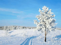 下雪天朋友圈心情短语 抖音雪天说说大全吸引人