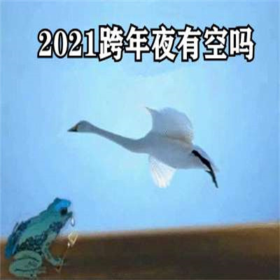 2022抖音跨年夜有空吗天鹅表情包 2022抖音超火的跨年癞蛤蟆表情