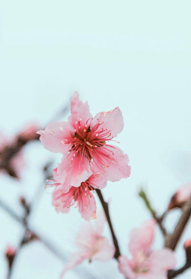 四月手机壁纸高清风景图 十分唯美好看的风景壁纸