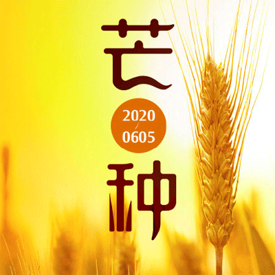 2022芒种图片高清唯美 芒种节气图片大全带字