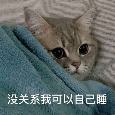 可爱猫咪最新搞笑聊天表情包 不要高估你和任何人的关系